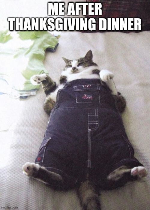 Fat Cat | ME AFTER THANKSGIVING DINNER | image tagged in memes,fat cat | made w/ Imgflip meme maker