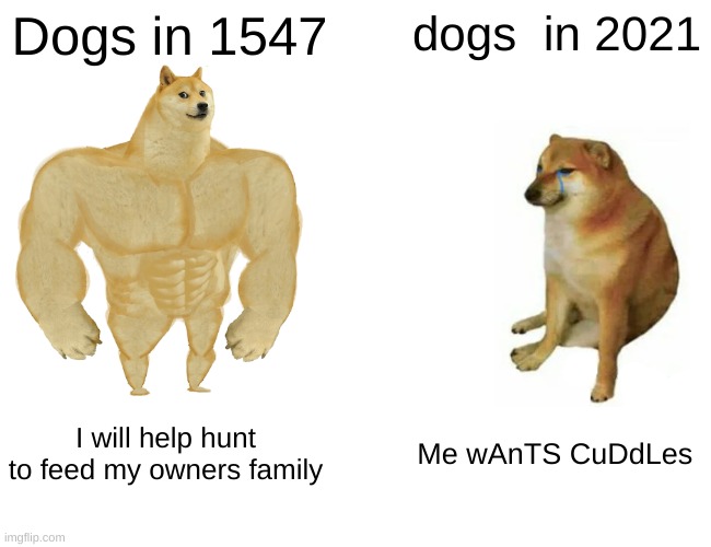 DoGS | Dogs in 1547; dogs  in 2021; I will help hunt to feed my owners family; Me wAnTS CuDdLes | image tagged in memes,buff doge vs cheems | made w/ Imgflip meme maker