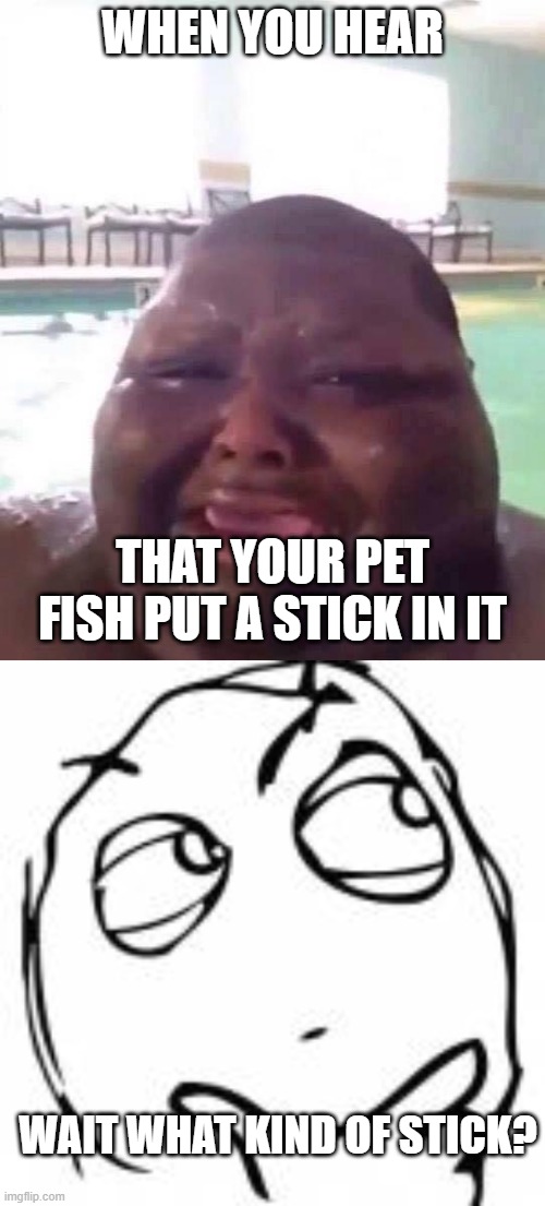 WHEN YOU HEAR; THAT YOUR PET FISH PUT A STICK IN IT; WAIT WHAT KIND OF STICK? | image tagged in fat man crys | made w/ Imgflip meme maker