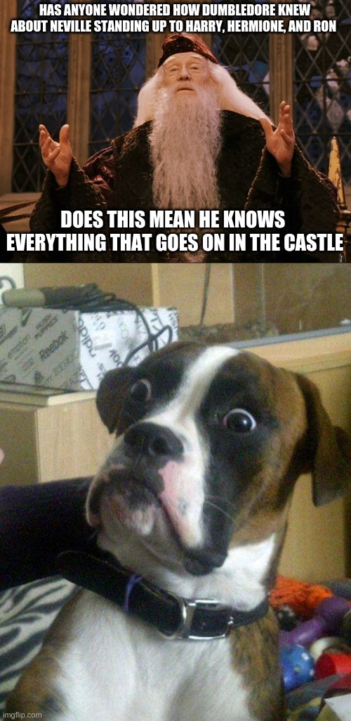 HAS ANYONE WONDERED HOW DUMBLEDORE KNEW ABOUT NEVILLE STANDING UP TO HARRY, HERMIONE, AND RON; DOES THIS MEAN HE KNOWS  EVERYTHING THAT GOES ON IN THE CASTLE | image tagged in dumbledore,blankie the shocked dog | made w/ Imgflip meme maker