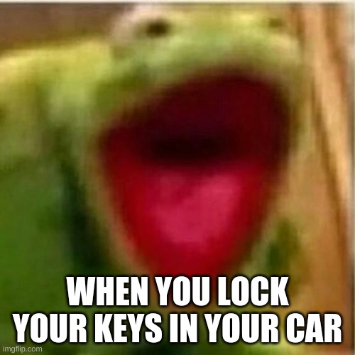 AHHHHHHHHHHHHH | WHEN YOU LOCK YOUR KEYS IN YOUR CAR | image tagged in ahhhhhhhhhhhhh | made w/ Imgflip meme maker