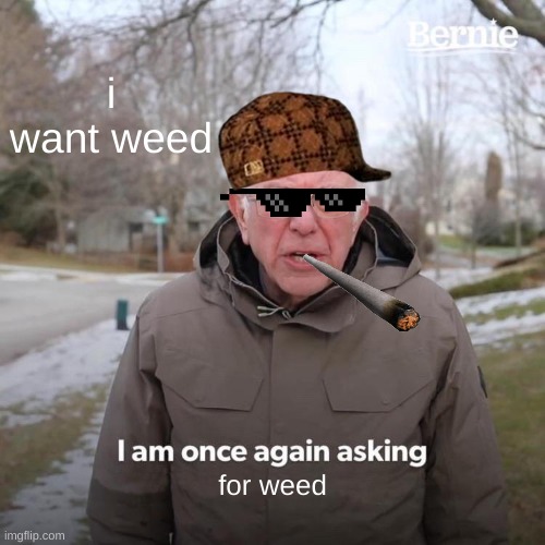 Bernie I Am Once Again Asking For Your Support | i want weed; for weed | image tagged in memes,bernie i am once again asking for your support | made w/ Imgflip meme maker