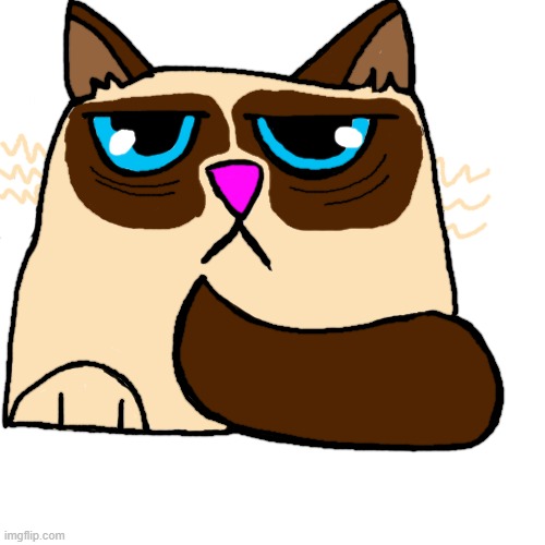 Cat star is back, Grumpy Cat | image tagged in memes,blank transparent square,grumpy cat | made w/ Imgflip meme maker
