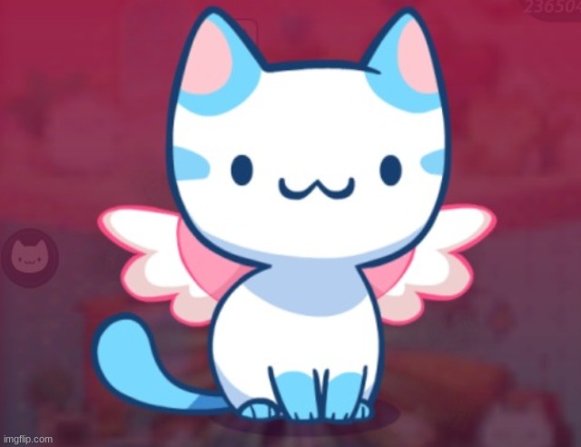 angel blue cat | image tagged in angel blue cat | made w/ Imgflip meme maker
