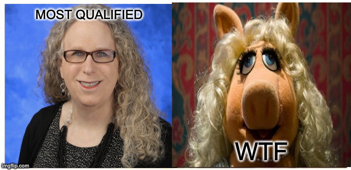 We can do better...MIss Piggy |  MOST QUALIFIED; WTF | image tagged in wtf,freak,the best | made w/ Imgflip meme maker