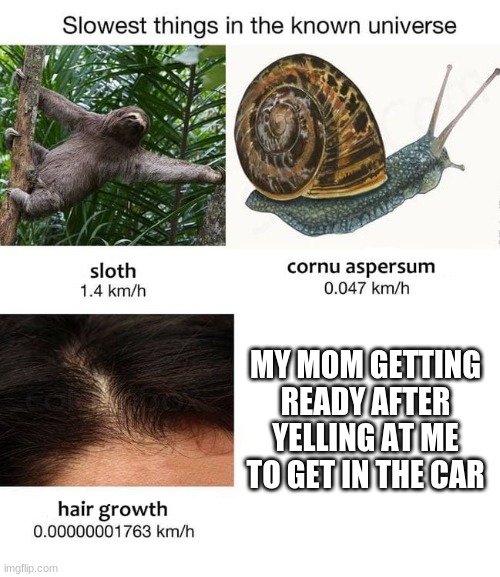 Slowest things | MY MOM GETTING READY AFTER YELLING AT ME TO GET IN THE CAR | image tagged in slowest things | made w/ Imgflip meme maker