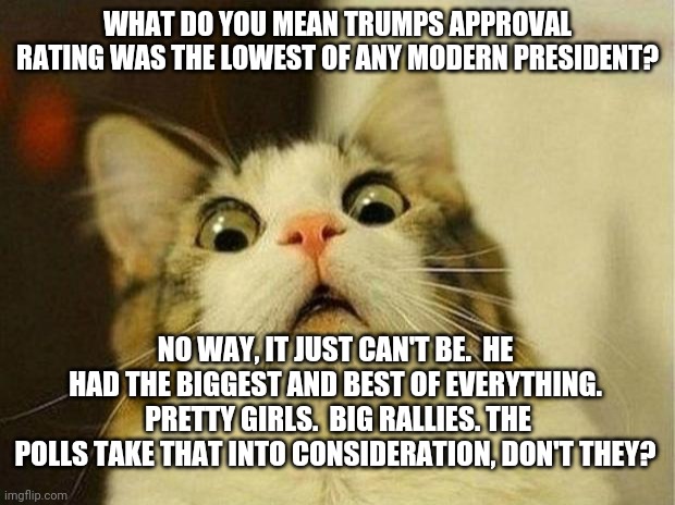 It always about the prettiest or the biggest with this cult. | WHAT DO YOU MEAN TRUMPS APPROVAL RATING WAS THE LOWEST OF ANY MODERN PRESIDENT? NO WAY, IT JUST CAN'T BE.  HE HAD THE BIGGEST AND BEST OF EVERYTHING.  PRETTY GIRLS.  BIG RALLIES. THE POLLS TAKE THAT INTO CONSIDERATION, DON'T THEY? | image tagged in memes,scared cat,cult,trump,fraudster | made w/ Imgflip meme maker