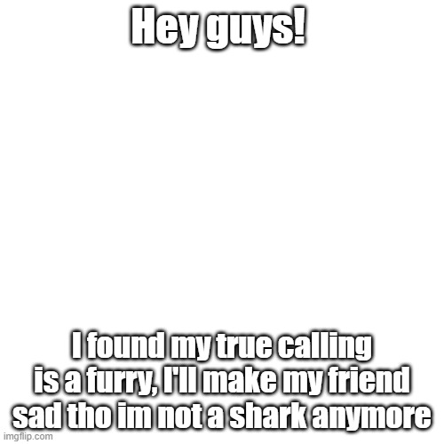 Blank Transparent Square Meme | Hey guys! I found my true calling is a furry, I'll make my friend sad tho im not a shark anymore | image tagged in blank transparent square | made w/ Imgflip meme maker