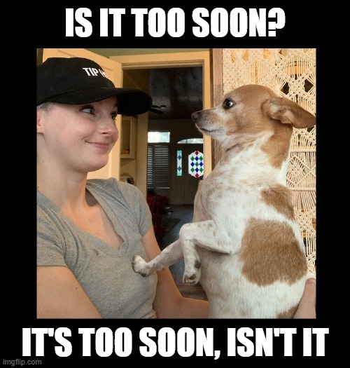 That moment when... |  IS IT TOO SOON? IT'S TOO SOON, ISN'T IT | image tagged in dogs,pets,touch,first time,dating,relationships | made w/ Imgflip meme maker