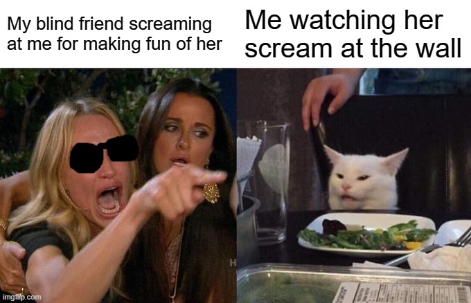 Woman Yelling At Cat | My blind friend screaming at me for making fun of her; Me watching her scream at the wall | image tagged in memes,woman yelling at cat | made w/ Imgflip meme maker
