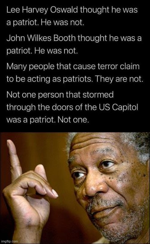 he's right you know | image tagged in terrorists not patriots,this morgan freeman,patriotism,patriots,capitol hill,riots | made w/ Imgflip meme maker