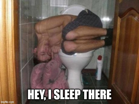 Sleeping on toilet | HEY, I SLEEP THERE | image tagged in sleeping on toilet | made w/ Imgflip meme maker