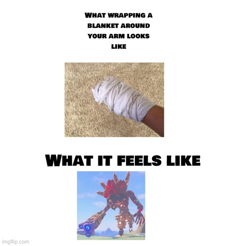 A Loz Botw meme | image tagged in memes | made w/ Imgflip meme maker