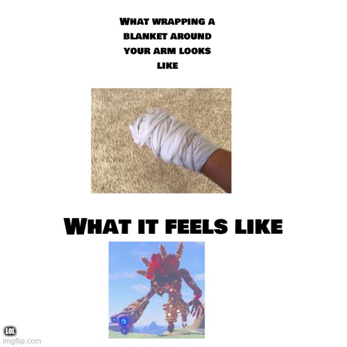 A Loz Botw meme | LOL | image tagged in funny memes | made w/ Imgflip meme maker