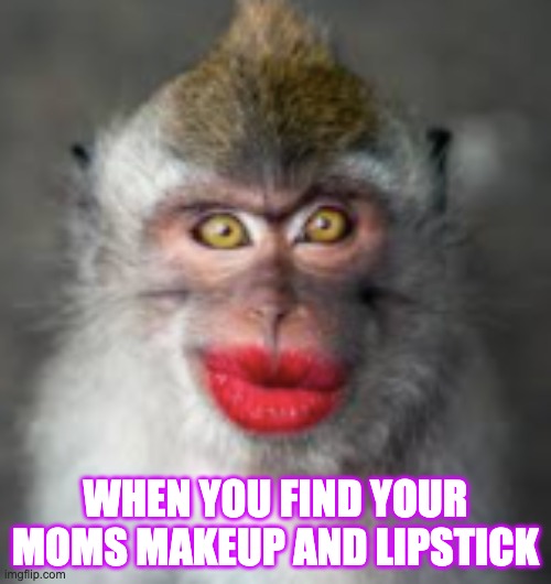 When you find your moms lipstick | WHEN YOU FIND YOUR MOMS MAKEUP AND LIPSTICK | image tagged in lipstick,monkey | made w/ Imgflip meme maker