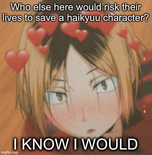 Kenma is HOTT | Who else here would risk their lives to save a haikyuu character? I KNOW I WOULD | image tagged in kenma is hott | made w/ Imgflip meme maker