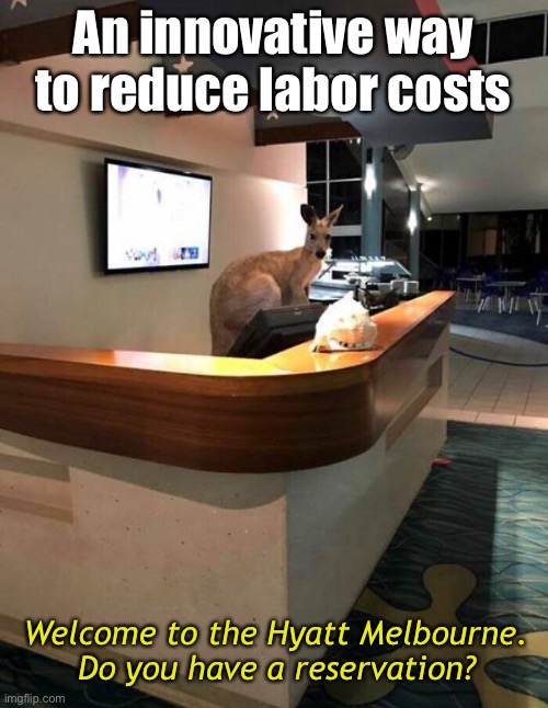 G’Day | An innovative way to reduce labor costs; Welcome to the Hyatt Melbourne. Do you have a reservation? | image tagged in funny memes | made w/ Imgflip meme maker