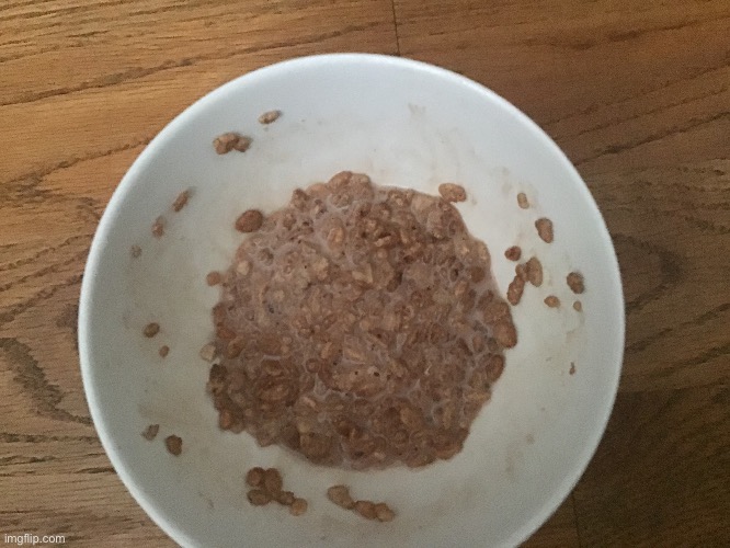 Why | made w/ Imgflip meme maker