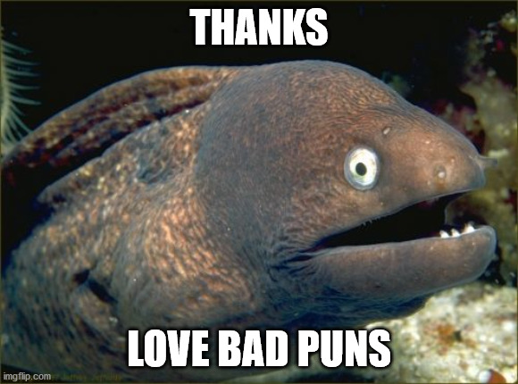 Bad Joke Eel Meme | THANKS LOVE BAD PUNS | image tagged in memes,bad joke eel | made w/ Imgflip meme maker