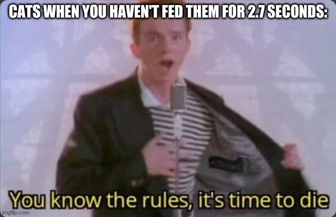 You know the rules, it's time to die | CATS WHEN YOU HAVEN'T FED THEM FOR 2.7 SECONDS: | image tagged in you know the rules it's time to die | made w/ Imgflip meme maker