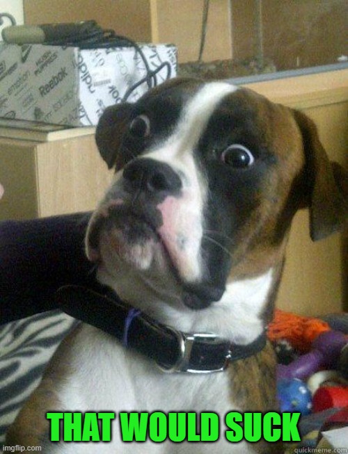 Dog Shocked | THAT WOULD SUCK | image tagged in dog shocked | made w/ Imgflip meme maker