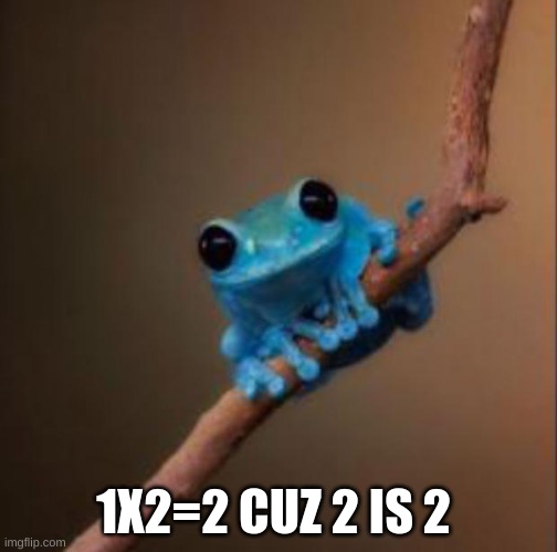 frog fact | 1X2=2 CUZ 2 IS 2 | image tagged in small fact frog | made w/ Imgflip meme maker