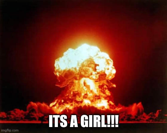 Nuclear Explosion Meme | ITS A GIRL!!! | image tagged in memes,nuclear explosion | made w/ Imgflip meme maker