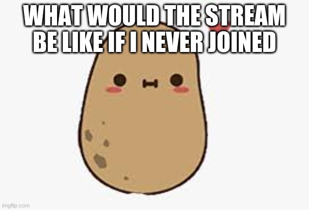 *laughs in it would be probably be the same* | WHAT WOULD THE STREAM BE LIKE IF I NEVER JOINED | made w/ Imgflip meme maker
