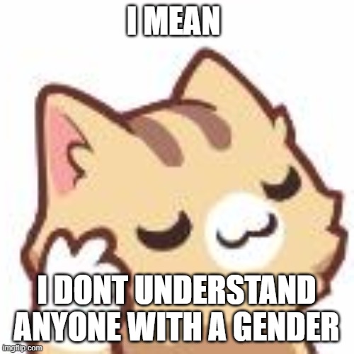 Ok kitty | I MEAN I DONT UNDERSTAND ANYONE WITH A GENDER | image tagged in ok kitty | made w/ Imgflip meme maker