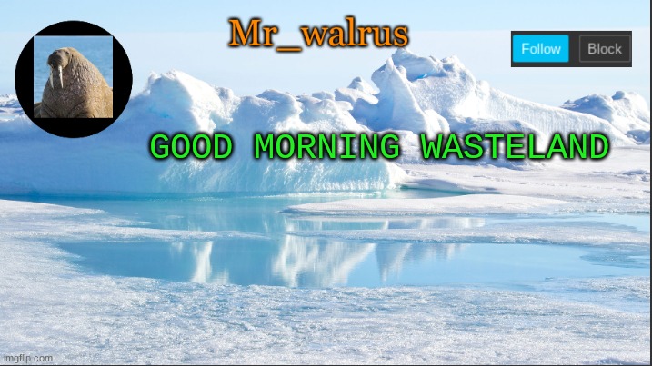 Mr_walrus | GOOD MORNING WASTELAND | image tagged in mr_walrus | made w/ Imgflip meme maker
