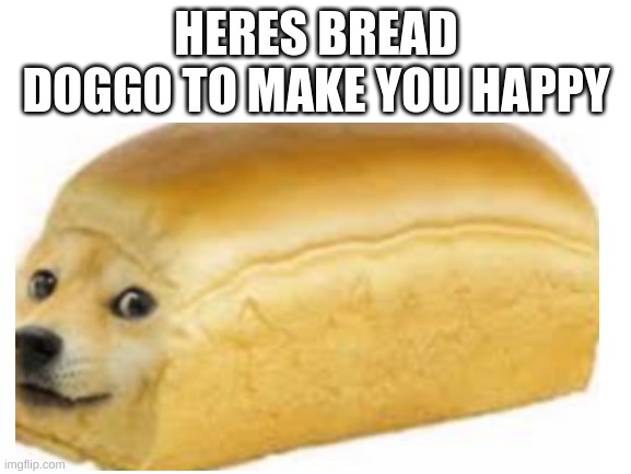 bread doggo | HERES BREAD DOGGO TO MAKE YOU HAPPY | image tagged in doggo | made w/ Imgflip meme maker