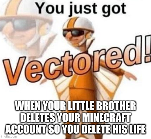 You just got vectored | WHEN YOUR LITTLE BROTHER DELETES YOUR MINECRAFT ACCOUNT SO YOU DELETE HIS LIFE | image tagged in you just got vectored | made w/ Imgflip meme maker