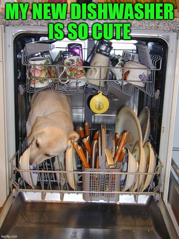 MY NEW DISHWASHER IS SO CUTE | image tagged in dogs | made w/ Imgflip meme maker