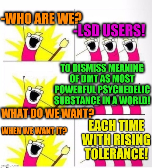 -No vomit, please. | -WHO ARE WE? -LSD USERS! TO DISMISS MEANING OF DMT AS MOST POWERFUL PSYCHEDELIC SUBSTANCE IN A WORLD! WHAT DO WE WANT? EACH TIME WITH RISING TOLERANCE! WHEN WE WANT IT? | image tagged in who are we,psychedelic,drugs are bad,tolerance,powerful,medicine | made w/ Imgflip meme maker
