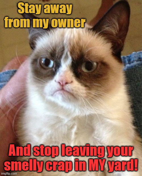 Grumpy Cat Meme | Stay away from my owner And stop leaving your smelly crap in MY yard! | image tagged in memes,grumpy cat | made w/ Imgflip meme maker