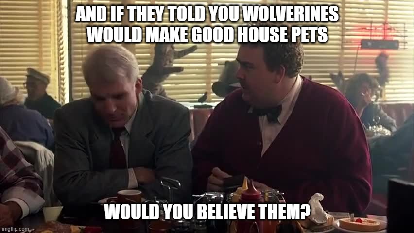 Wolverines make good house pets | AND IF THEY TOLD YOU WOLVERINES WOULD MAKE GOOD HOUSE PETS; WOULD YOU BELIEVE THEM? | image tagged in planes trains and automobiles,wolverines,john candy,steve martin | made w/ Imgflip meme maker