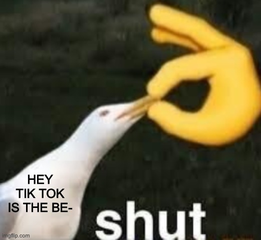 shut. | HEY TIK TOK IS THE BE- | image tagged in shut | made w/ Imgflip meme maker