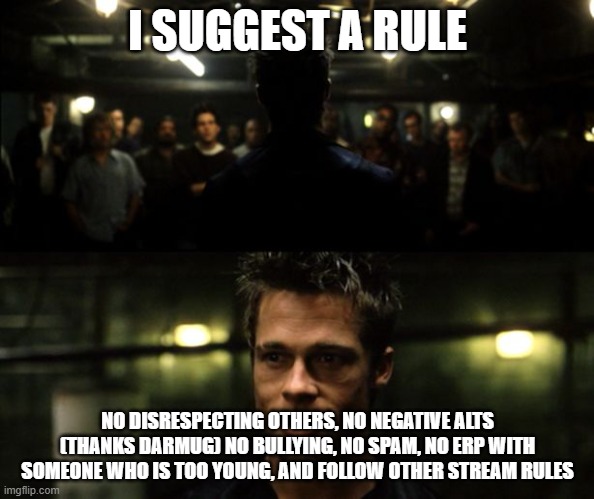 First rule of the Fight Club | I SUGGEST A RULE; NO DISRESPECTING OTHERS, NO NEGATIVE ALTS (THANKS DARMUG) NO BULLYING, NO SPAM, NO ERP WITH SOMEONE WHO IS TOO YOUNG, AND FOLLOW OTHER STREAM RULES | image tagged in first rule of the fight club | made w/ Imgflip meme maker