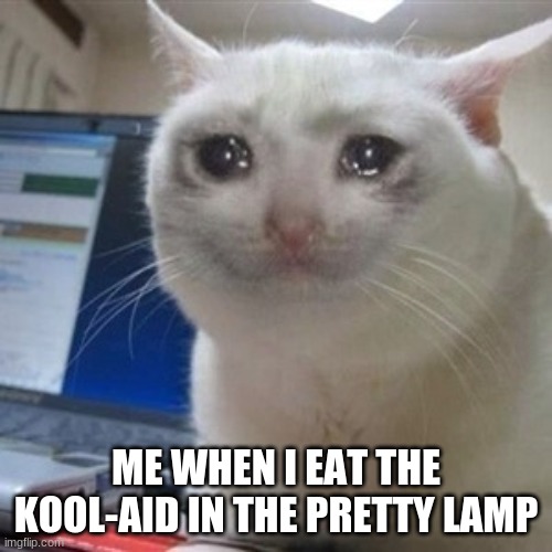 Crying cat | ME WHEN I EAT THE KOOL-AID IN THE PRETTY LAMP | image tagged in crying cat | made w/ Imgflip meme maker