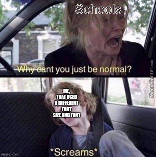 Is this no America I come for? | Schools; ME, THAT USED A DIFFERENT FONT SIZE AND FONT | image tagged in why can't you just be normal | made w/ Imgflip meme maker