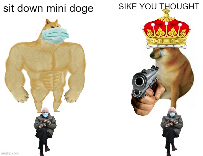 breh | sit down mini doge; SIKE YOU THOUGHT | image tagged in memes,buff doge vs cheems | made w/ Imgflip meme maker