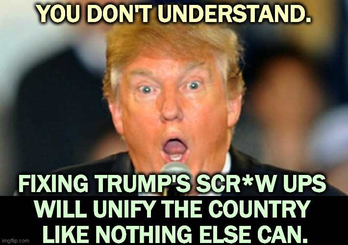 YOU DON'T UNDERSTAND. FIXING TRUMP'S SCR*W UPS 
WILL UNIFY THE COUNTRY 
LIKE NOTHING ELSE CAN. | image tagged in biden,bring it,together,trump,division,incompetence | made w/ Imgflip meme maker