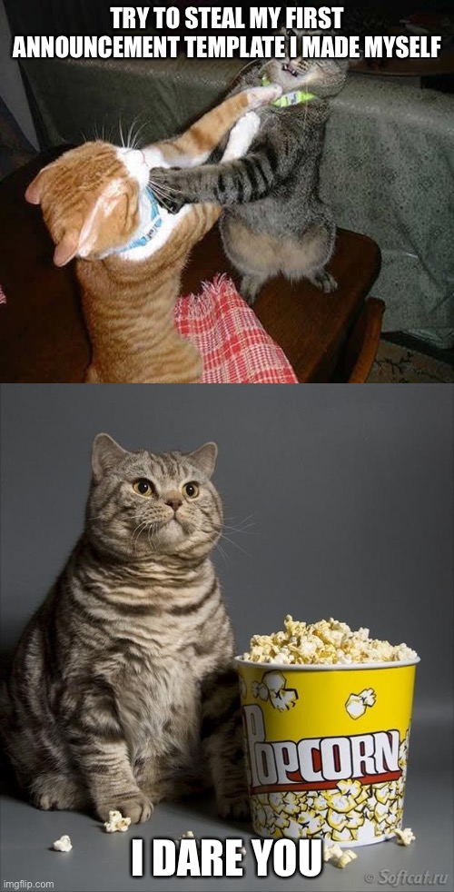 Cat watching other cats fight | TRY TO STEAL MY FIRST ANNOUNCEMENT TEMPLATE I MADE MYSELF; I DARE YOU | image tagged in cat watching other cats fight | made w/ Imgflip meme maker