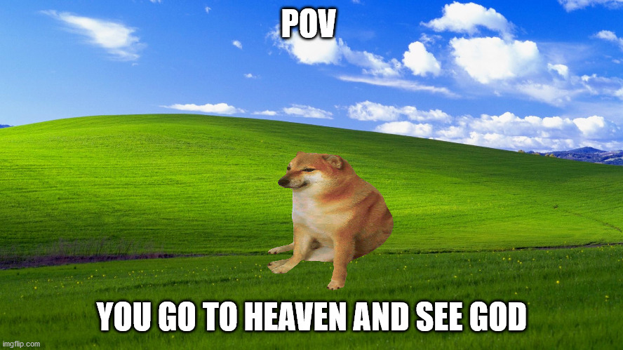god is here | POV; YOU GO TO HEAVEN AND SEE GOD | image tagged in cheems | made w/ Imgflip meme maker