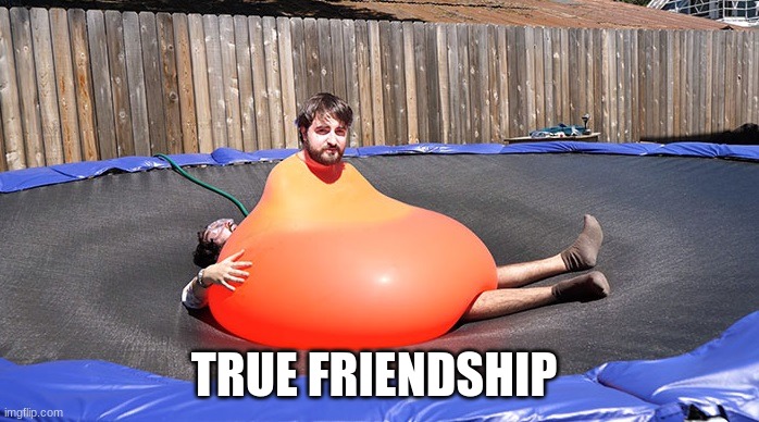 true friendship | TRUE FRIENDSHIP | image tagged in true friendship | made w/ Imgflip meme maker