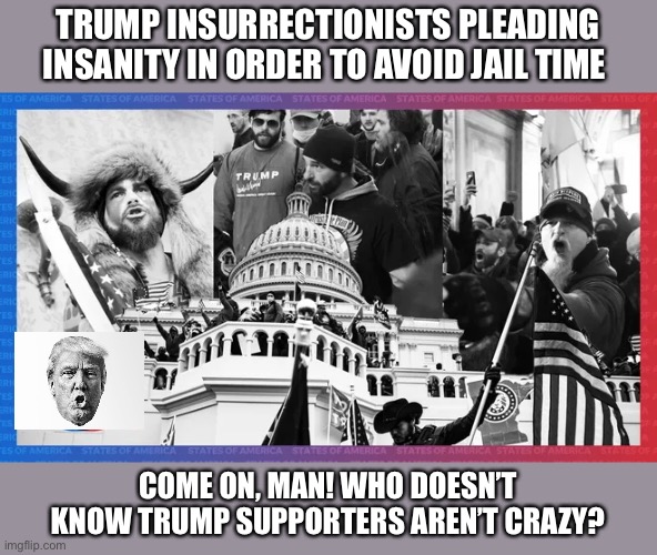 MAGA supporters go to court to discover their just crazy | TRUMP INSURRECTIONISTS PLEADING INSANITY IN ORDER TO AVOID JAIL TIME; COME ON, MAN! WHO DOESN’T KNOW TRUMP SUPPORTERS AREN’T CRAZY? | image tagged in donald trump,maga,crazy,insane,court,prison | made w/ Imgflip meme maker