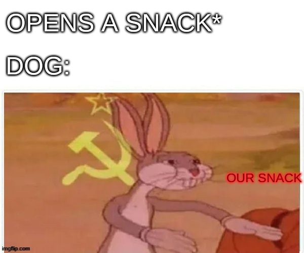 communist bugs bunny | OPENS A SNACK* DOG: OUR SNACK | image tagged in communist bugs bunny | made w/ Imgflip meme maker