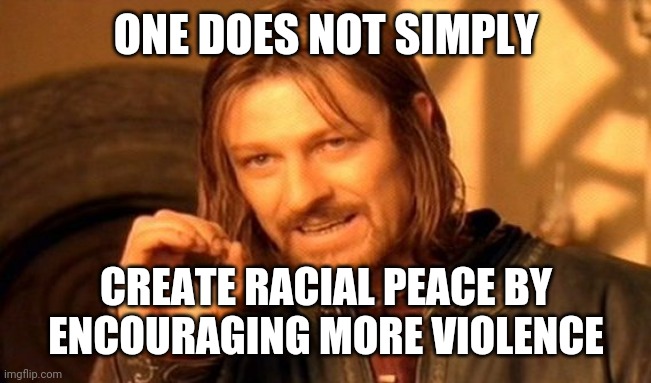 Violence makes war, respectful resolution makes peace. | ONE DOES NOT SIMPLY; CREATE RACIAL PEACE BY ENCOURAGING MORE VIOLENCE | image tagged in memes,one does not simply,politics,blm,racism,peace | made w/ Imgflip meme maker