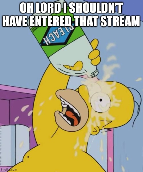 Homer with bleach | OH LORD I SHOULDN’T HAVE ENTERED THAT STREAM | image tagged in homer with bleach | made w/ Imgflip meme maker