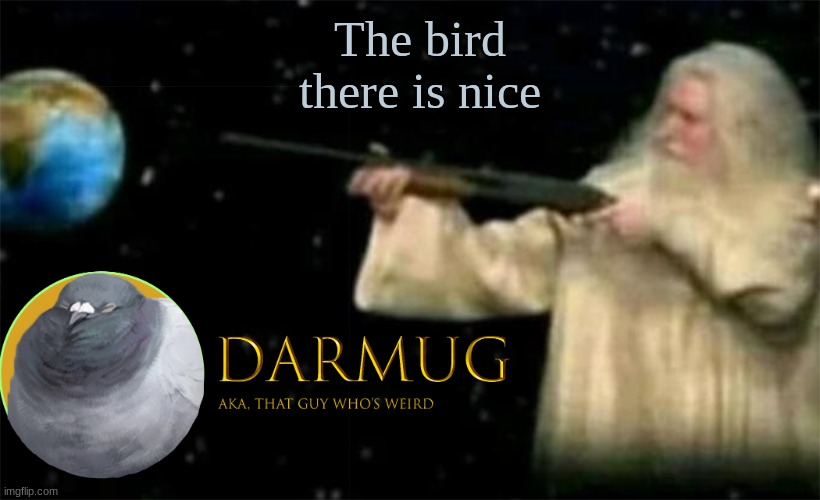 Darmug Announcement template | The bird there is nice | image tagged in darmug announcement template | made w/ Imgflip meme maker